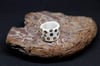 Panthera White