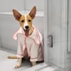 Par Avion Köpek Bornozu