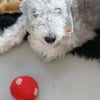 Polka Dot El Yapımı Oyuncak