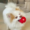 Polka Dot El Yapımı Oyuncak