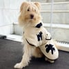 Umbra Siyah Köpek Bornozu