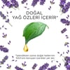 Elektrikli Oda Kokusu Esansiyel Yağlar Yedek Şişe Lavanta