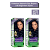 Naturals 2/8 Böğürtlen Siyah Saç Boyası x 2 adet