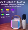 Aurıs Wıreless Karaoke Speaker ARS-KLN280