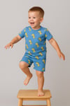 dinazor baskılı yazlık pijama takımı