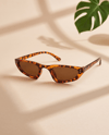 ALLİEN Havana & Espresso Brown Güneş Gözlüğü