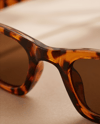 ALLİEN Havana & Espresso Brown Güneş Gözlüğü