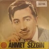 ahmet-sezgin-cile-cektirdin-cile-nhayi-3a7493.jpg
