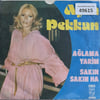 ajda-pekkan-aglamaya-yarim-sakin-sakin--a74b0.jpg