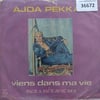 ajda-pekkan-viens-dans-ma-vie-face-a-f-90d7c4.jpg