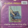 ajda-pekkan-viens-dans-ma-vie-face-a-f-ace2f-.jpg