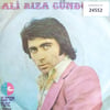 ali-riza-gundogdu-bir-yigit-gurbete-gi-63a04a.jpg