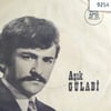 asik-gulabi-govdeli-yaylasitalihsiz-me-230d3-.jpg