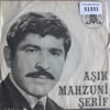 asik-mahzuni-serif-erim-erim-eriyesin--9921-2.jpg
