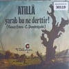atilla-vermediler-ne-yapayim-deliyim-t-514ab0.jpg