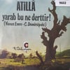 atilla-vermediler-ne-yapayimdeliyim-tr-d6-bf5.jpg