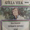 atilla-yelken-telli-duvak-uzulmeye-deg-f72a2b.jpg
