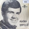 aydin-sengul-merhametsizihanet-ettin-b-a9a9b1.jpg