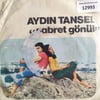 aydin-tansel-sabret-gonulbakisima-kanm-a8c617.jpg