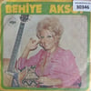 behiye-aksoy-bir-garip-yolcuyum-yok-ar-3-7981.jpg