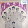beyaz-kelebekler-artik-sevmiyecegim-bu-df076c.jpg