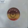 beyaz-kelebekler-uc-beyaz-kelebek-otme-9-b991.jpg