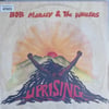 bob-marley-the-wailers-uprising-yesil--d-78a2.jpg