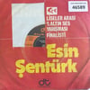 esin-senturk-andicelim-babacigim-disko-4-b261.jpg