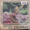 esmeray-yollar-yollar-lanet-tr45k-4044-99a72b.jpg