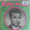 ibis-koc-okkali-hacerim-surtuk-tr45k-4-d8-d1a.jpg
