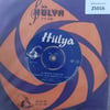 kemal-gurses-alisimin-kaslari-koskum-v--e3725.jpg
