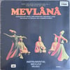 mevlana-aka-gunduz-kutbay-hammamizade--3e8bc2.jpg