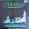 mevlana-neyzen-ulvi-erguner-acem-asira-dd-a1e.jpg