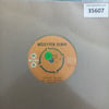 muzeyyen-senar-gonul-bagim-teselli-ari--7174-.jpg