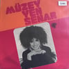muzeyyen-senar-hanceri-ebrusu-saplandi-8abd-4.jpg
