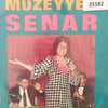 muzeyyen-senar-mendil-bu-garip-basim-t-23-458.jpg