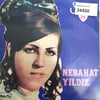 nebahat-yildiz-dam-ustune-cul-serer-su--58ea-.jpg
