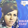 nebahat-yildiz-tara-zulfunu-guzelim-ko-81-850.jpg