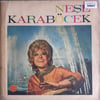 nese-karabocek-sensiz-kalan-gonlumde-a-c43-83.jpg