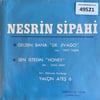 nesrin-sipahi-gelsen-bana-sen-istedin--7df0-0.jpg