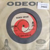 nesrin-sipahi-gul-agaci-degilem-sureyy-877432.jpg