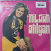 nilgun-atilgan-cek-kayikci-nerden-cikt-558-0f.jpg