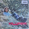 nilufer-al-beni-cal-beni-korebe-tr45k--04d654.jpg