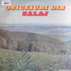 obiceiuri-din-salaj-obiceiuri-din-sala-627439.jpg