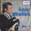ozay-gonlum-avsar-beyleri-1-2-tr45k-51-b700-e.jpg
