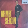 sadece-kapak-_-ahmet-sezgin-_-turkofon-29c572.jpg