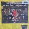 sadece-kapak-_-birsen-armagan-_-aska-t-ac5-a6.jpg