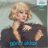 sadece-kapak-_-gonul-akkor-_-dargin-ay-06e5e9.jpg