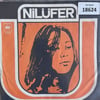 sadece-kapak-_-nilufer-_-goreceksin-ke-c058c5.jpg