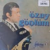 sadece-kapak-_-ozay-gonlum-_-elif-dedi--d717a.jpg